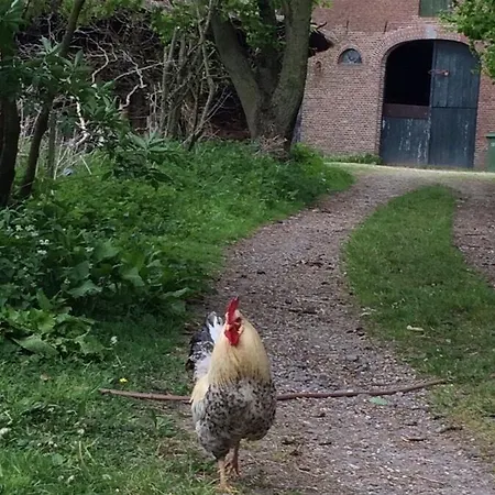 Zomerhuisje In Betuwe Kesteren