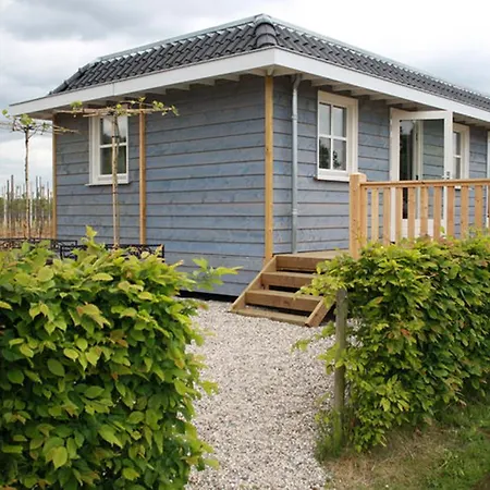 Zomerhuisje In Betuwe Chalet *